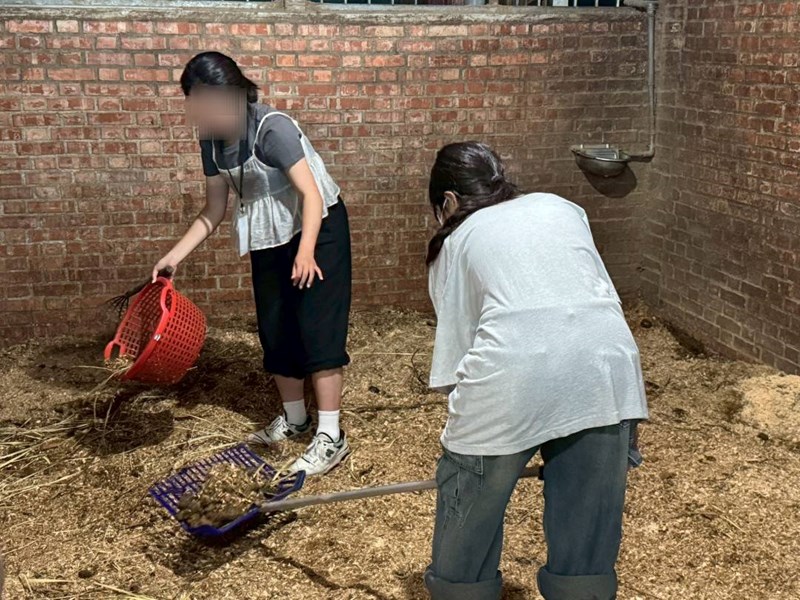 青年動手體驗馬場人員工作