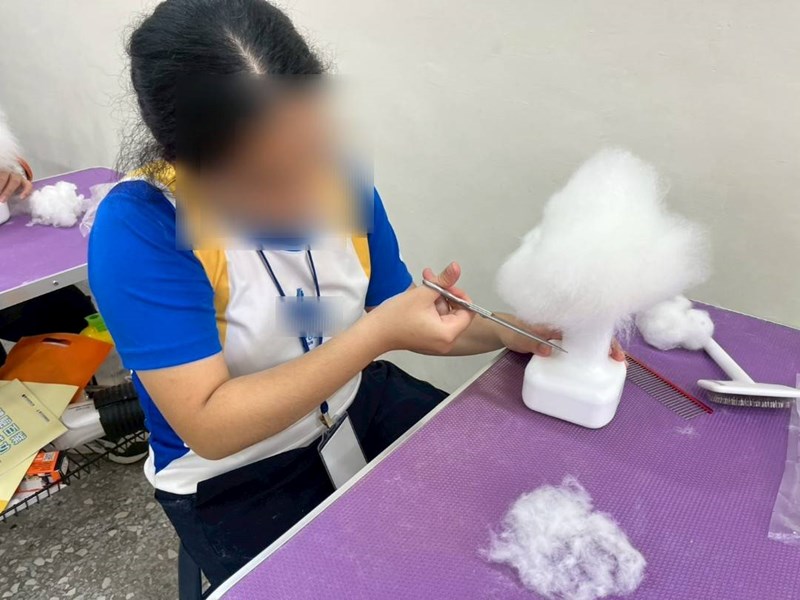 學員動手做，透過專業道具體驗寵物美容