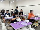學員在專業寵物美容教室體驗