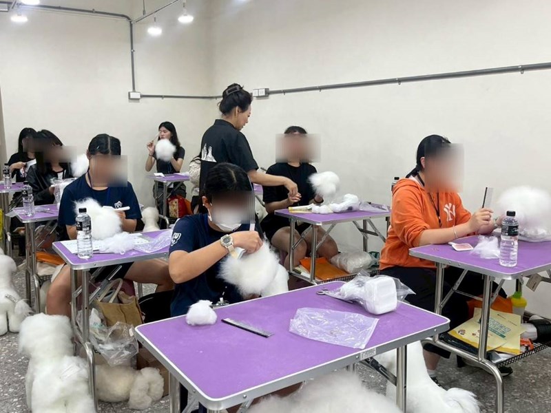學員在專業寵物美容教室體驗